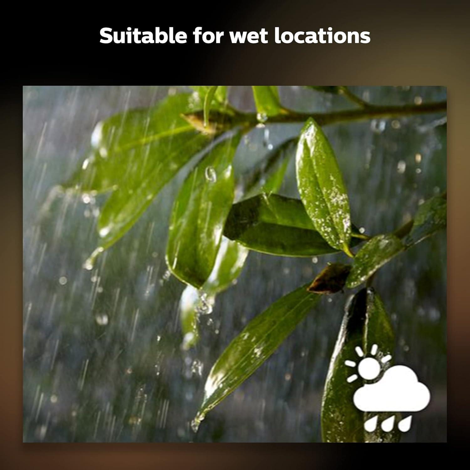 imagePhilips Hue Outdoor 8Foot Cable and T Connector  Connect Your Hue Outdoor Low Voltage Lights  1 Pack  Requires Hue Bridge  WeatherproofExtension