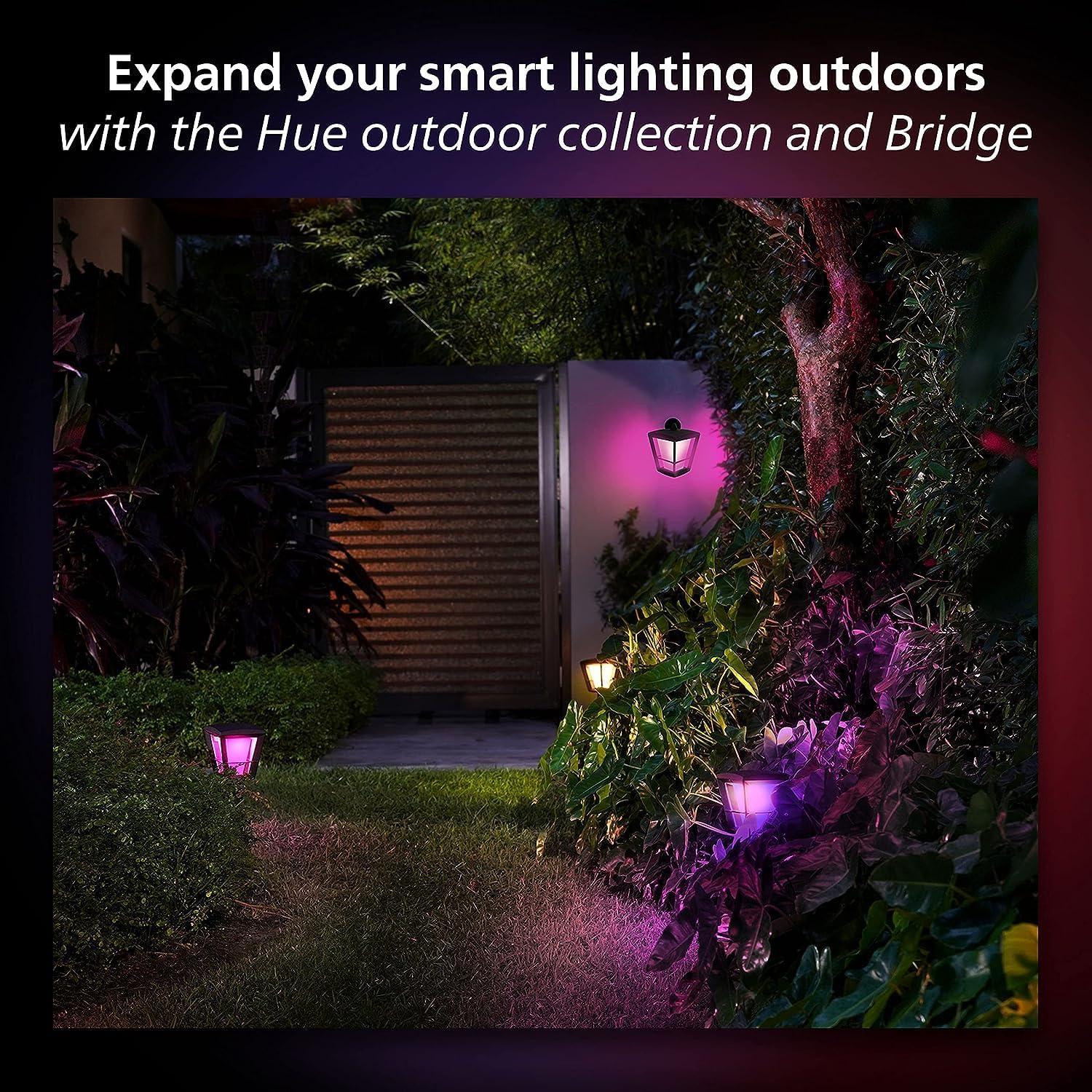 imagePhilips Hue Outdoor 8Foot Cable and T Connector  Connect Your Hue Outdoor Low Voltage Lights  1 Pack  Requires Hue Bridge  WeatherproofPower 40W