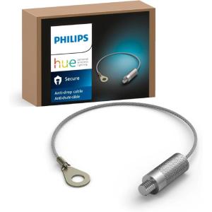 Philips Hue Secure Camera Anti-Drop Cable, Silver – 1 Pack – Made for Outdoor Use – Attaches to Philips Hue Low-Volt Power Supply Unit(Secure Anti-Drop Cable​)