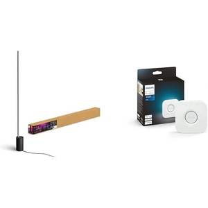 Philips Hue Gradient Signe Floor Lamp, Compatible with Alexa, Apple Homekit & Bridge – Unlock The Full Potential of Hue – Multi-Room and Out-of-Home Control